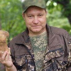 Нестор