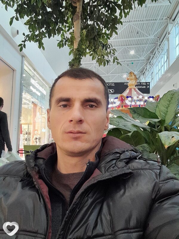 Лев