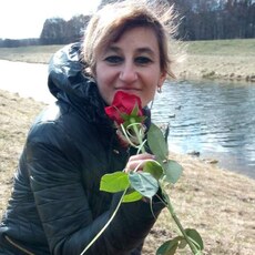 Роза
