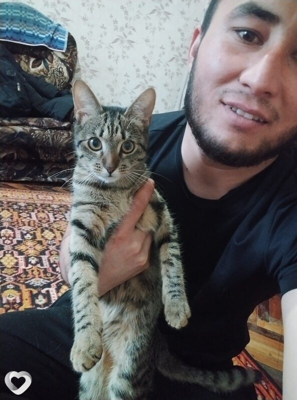 Артемий