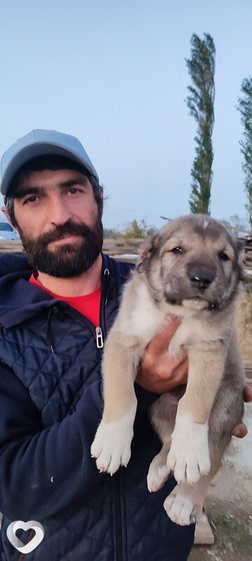 Юрий