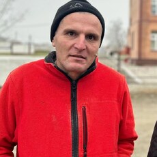 Давид