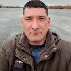 Давидик