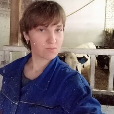 Роза
