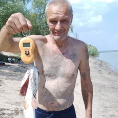 Миша