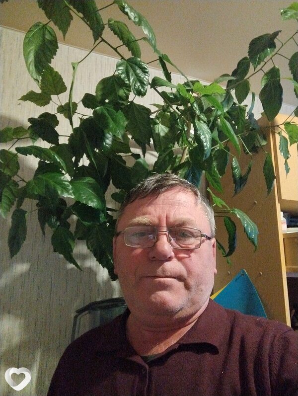 Лев