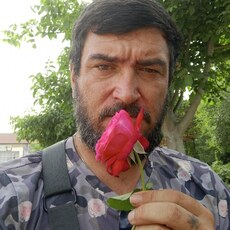 Платоша