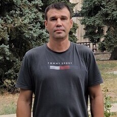 Тим