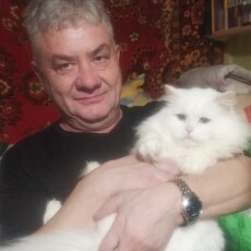 Гена
