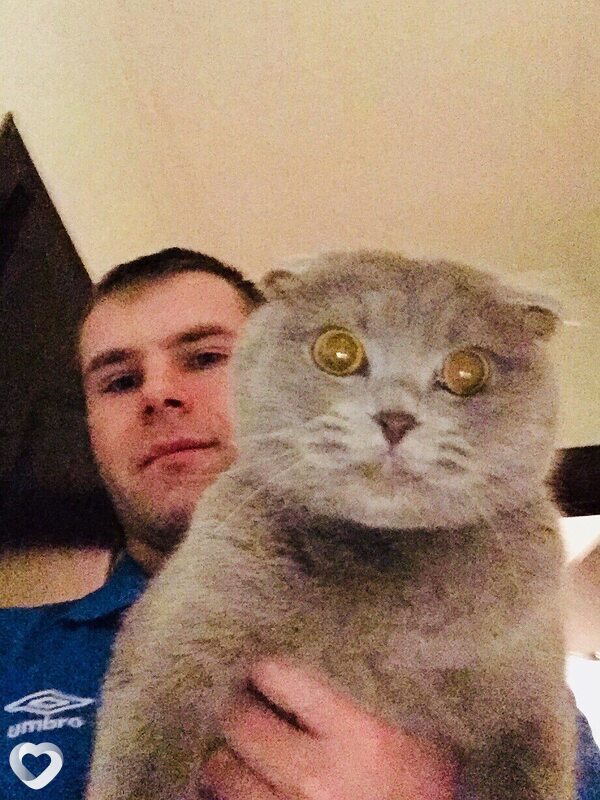 Мотя