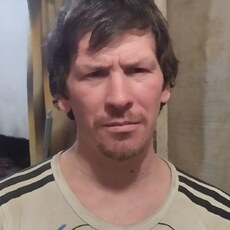 Платоша