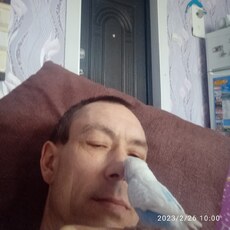 Альбик