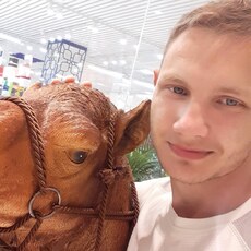 Платоша