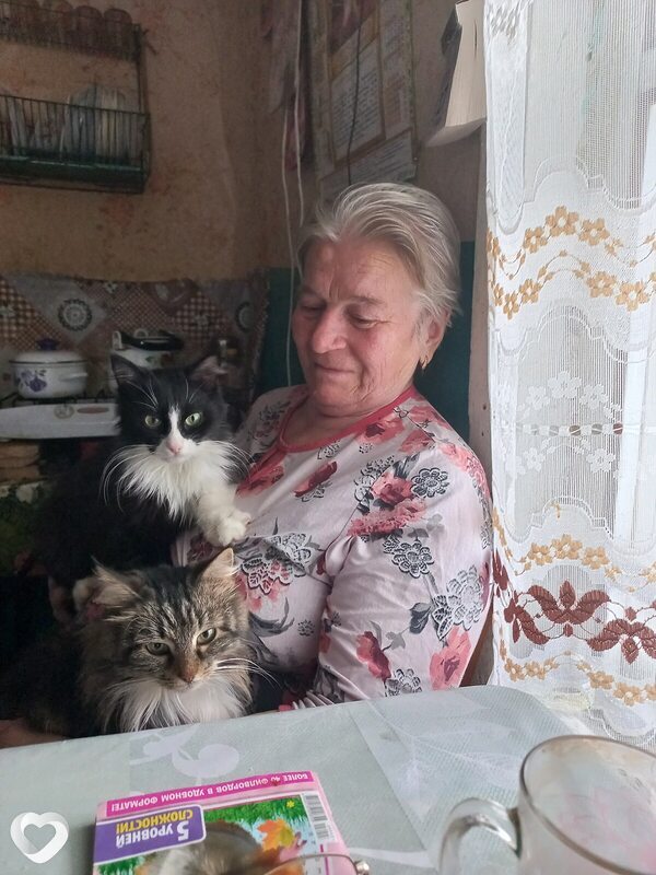 Ангелина