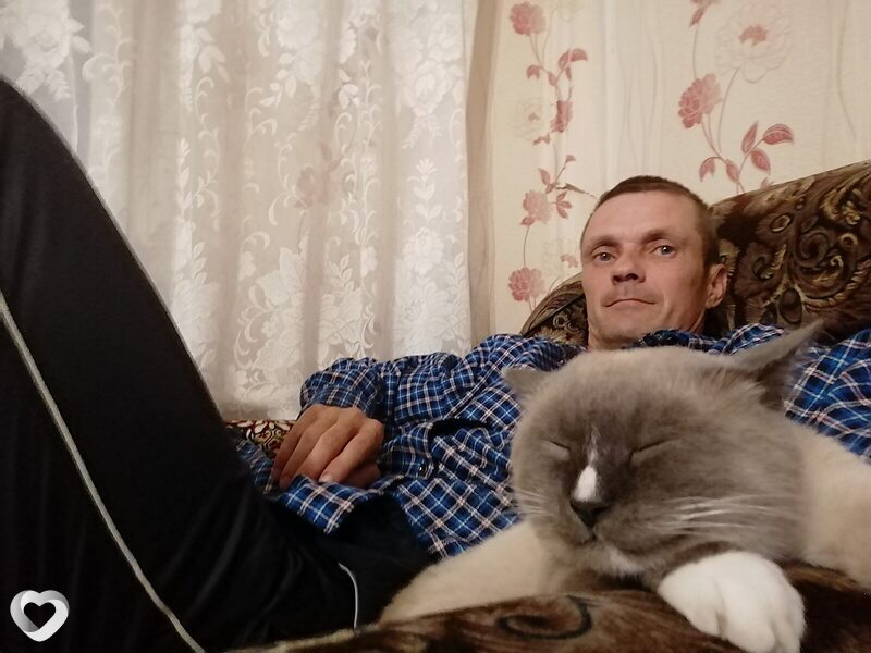 Всеволод