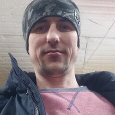 Всеволод