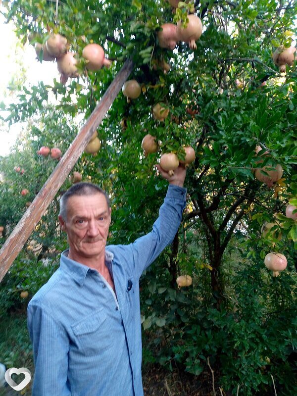 Коля