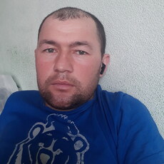 Тим