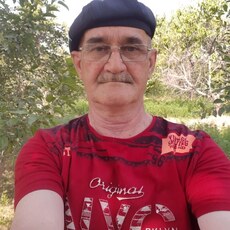 Стёпа