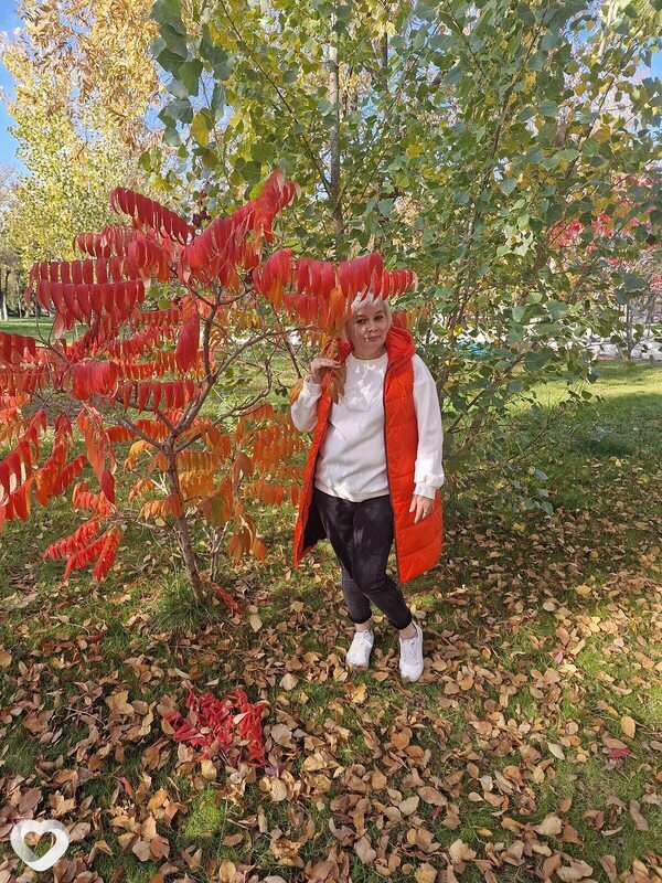 Элина