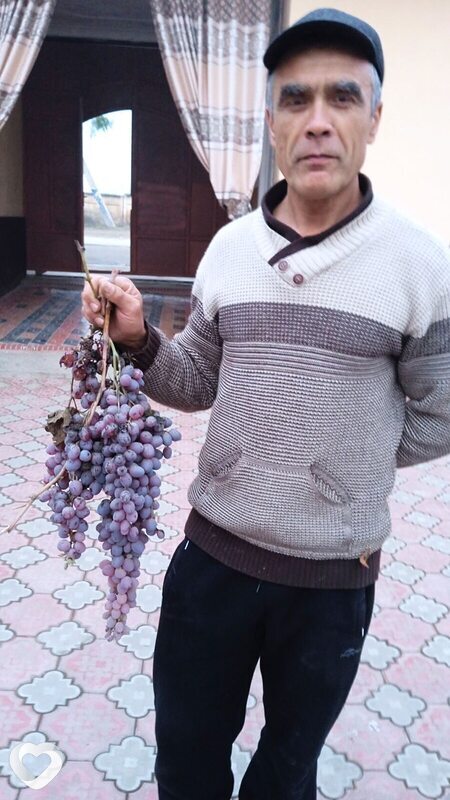Остап