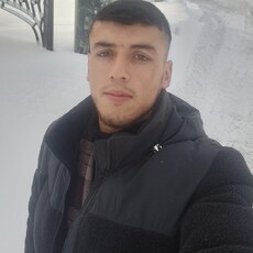Альбик