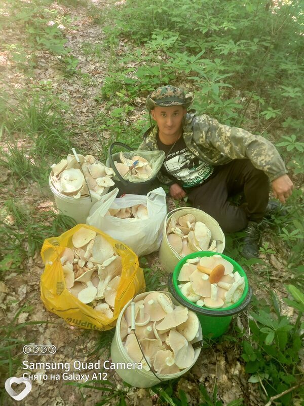 Виссарион
