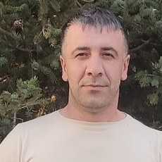 Платоша