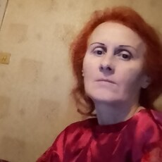 Света