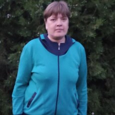 Роза
