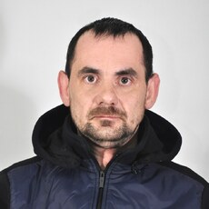 Альбик